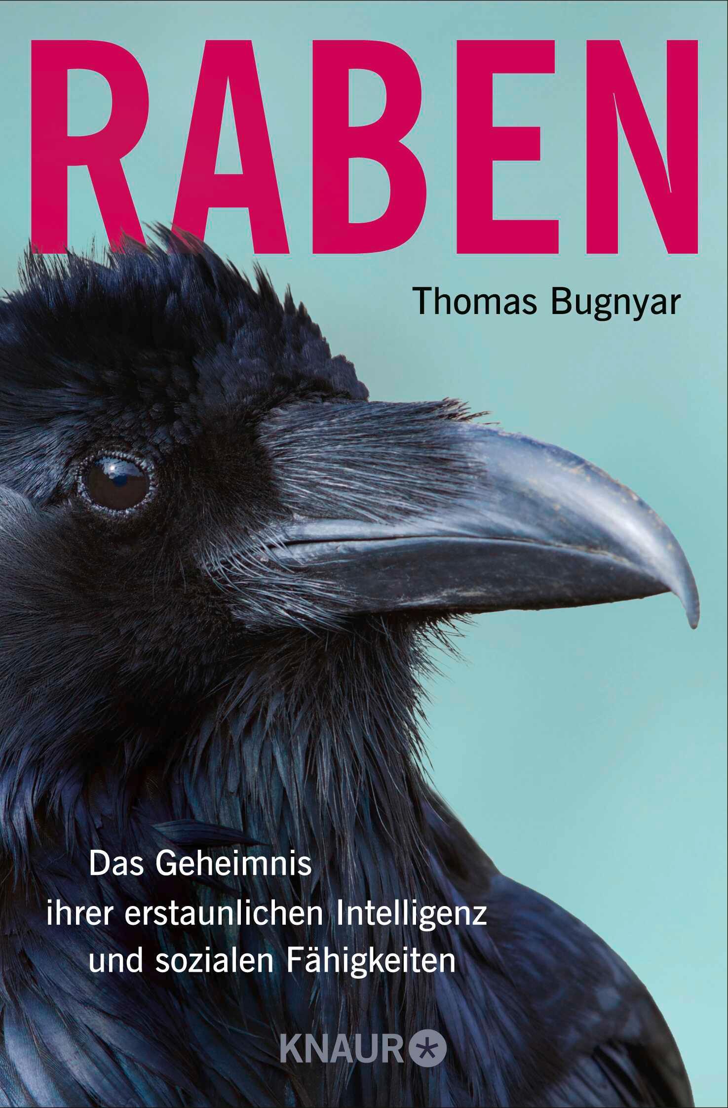 Cover: 9783426448984 | Raben | Thomas Bugnyar | Taschenbuch | 240 S. | Deutsch | 2024