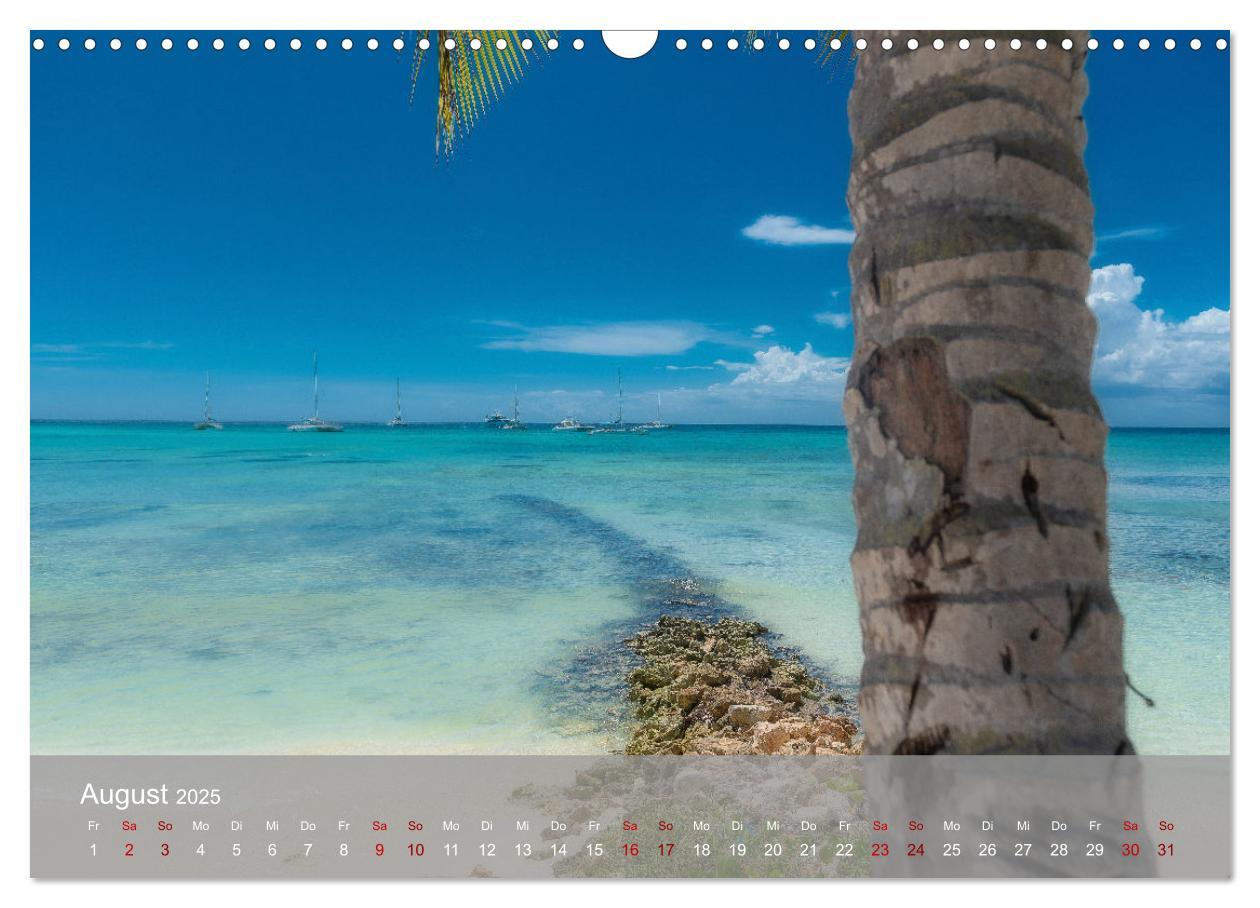 Bild: 9783435022465 | Karibik Traum Isla Saona (Wandkalender 2025 DIN A3 quer), CALVENDO...