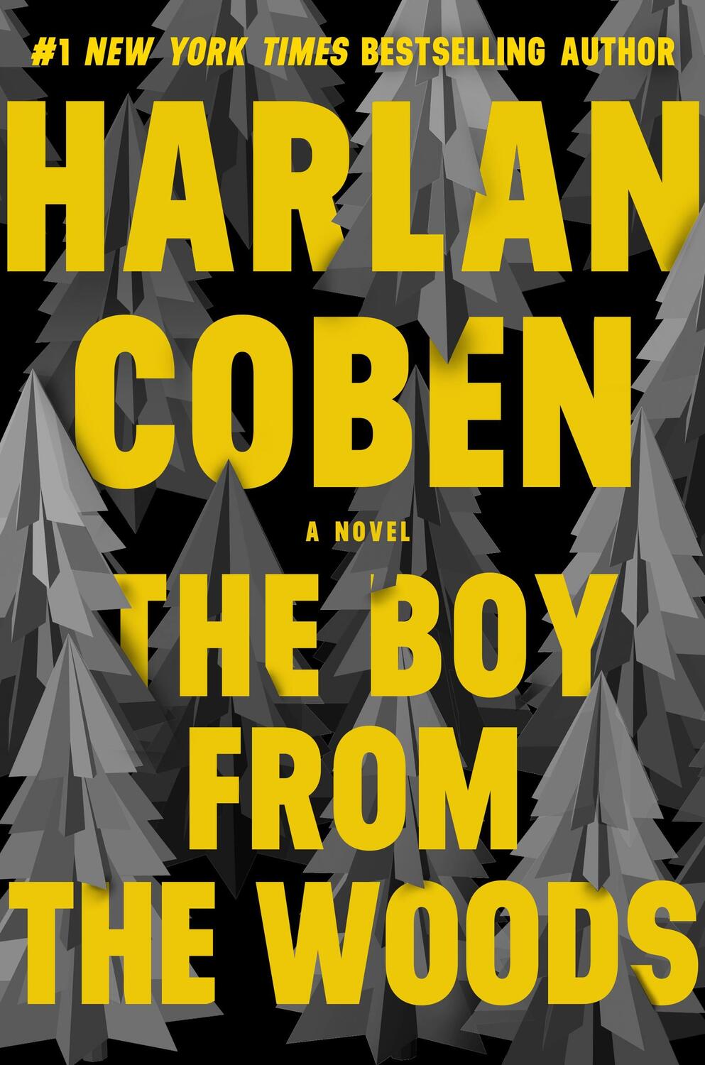 Cover: 9781538748145 | The Boy from the Woods | Harlan Coben | Buch | Gebunden | Englisch