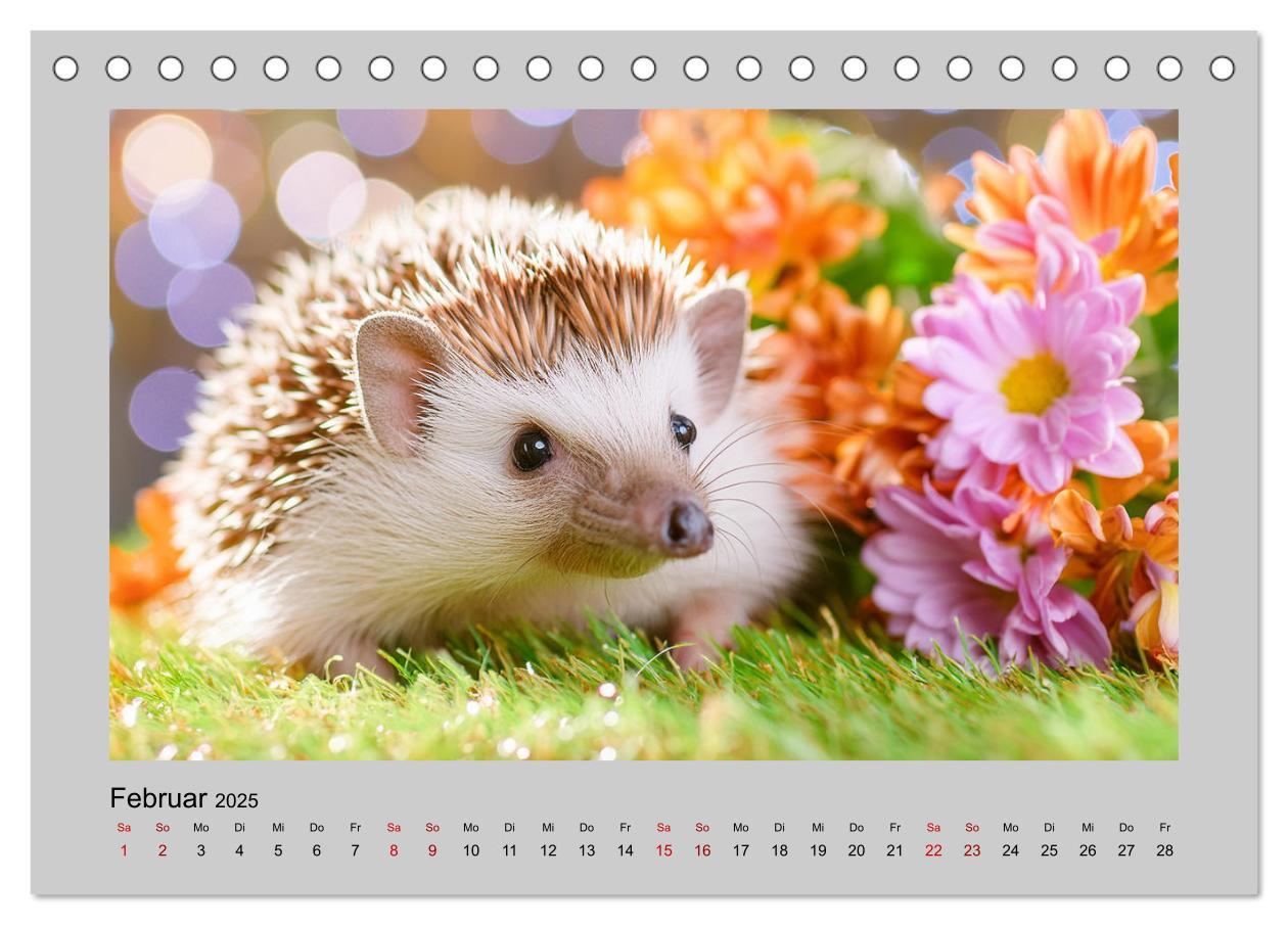 Bild: 9783435516230 | Mein Igel-Kalender (Tischkalender 2025 DIN A5 quer), CALVENDO...