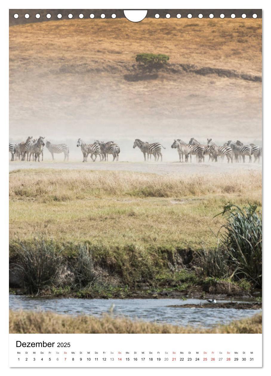 Bild: 9783435954438 | Serengeti Pur - Tansania (Wandkalender 2025 DIN A4 hoch), CALVENDO...