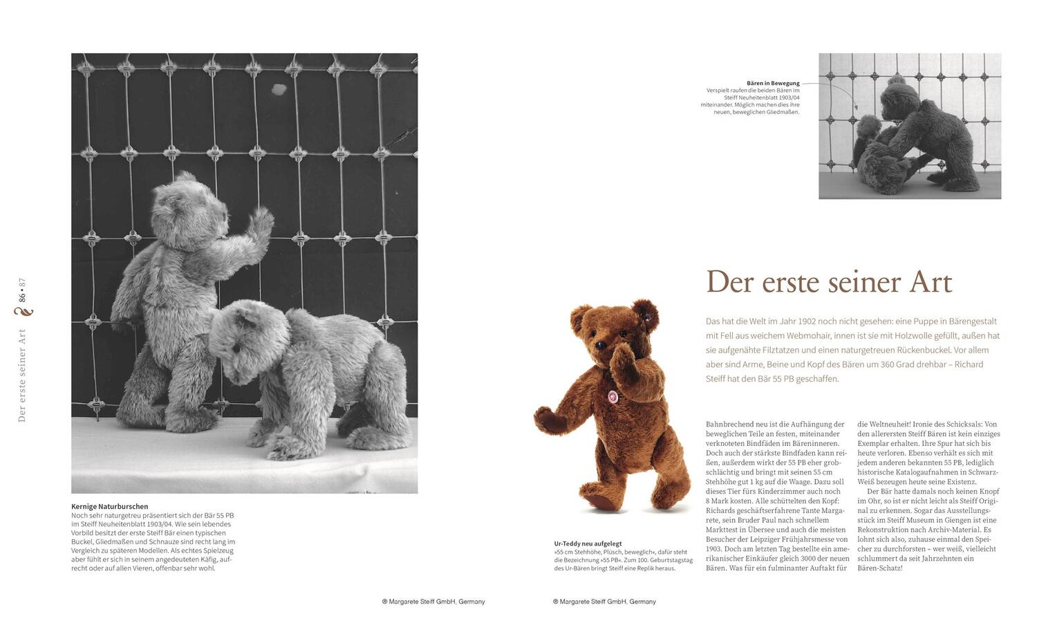 Bild: 9783831043477 | Das Steiff Teddybären Buch | Elisabeth Schnurrer | Buch | 200 S.