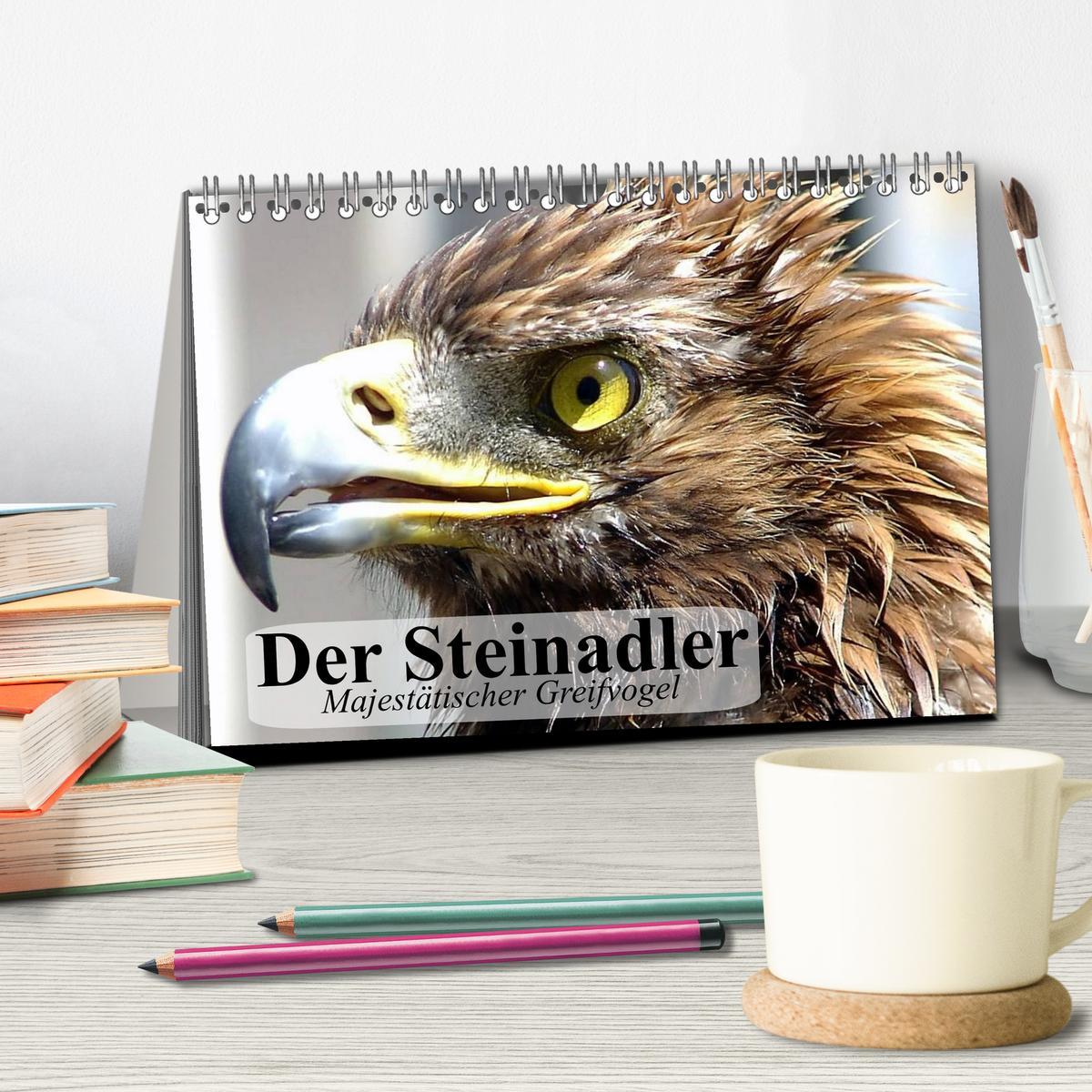 Bild: 9783435514298 | Der Steinadler. Majestätischer Greifvogel (Tischkalender 2025 DIN...