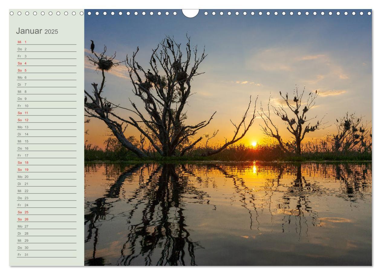 Bild: 9783435116911 | Donaudelta - Tierparadies am Schwarzen Meer (Wandkalender 2025 DIN...