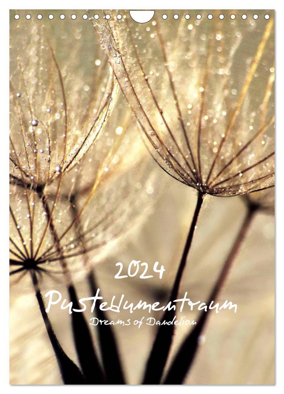 Cover: 9783675904637 | Pusteblumentraum - Dreams of Dandelion (Wandkalender 2024 DIN A4...