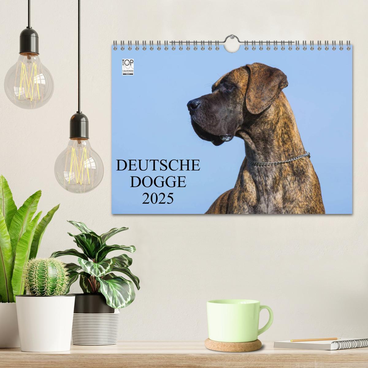 Bild: 9783435762293 | Deutsche Dogge 2025 (Wandkalender 2025 DIN A4 quer), CALVENDO...