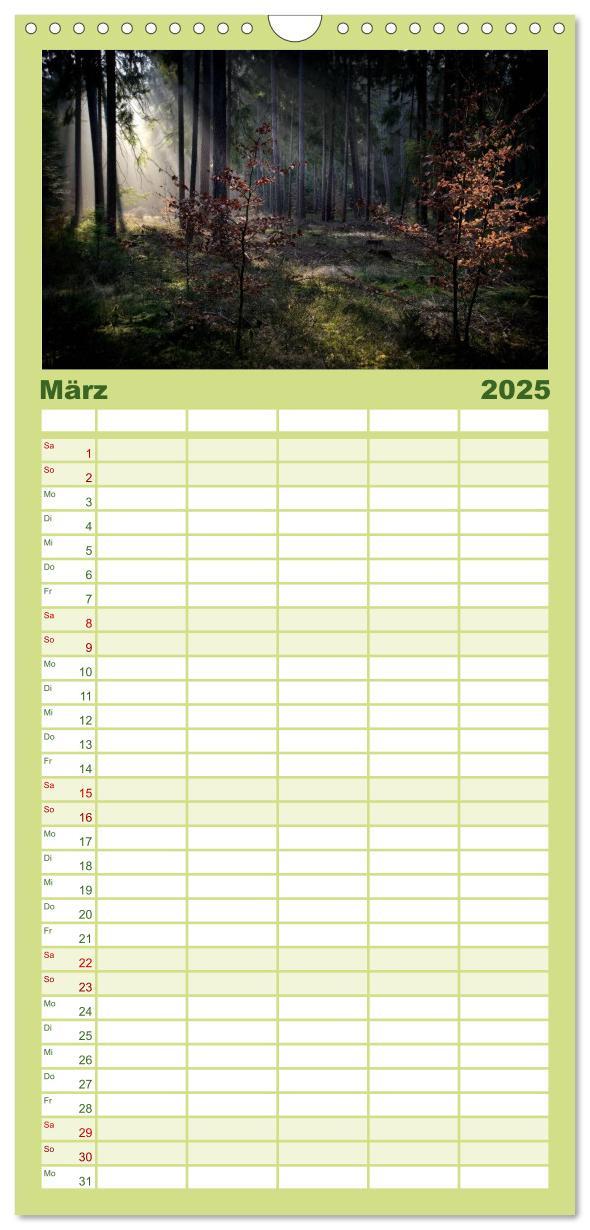 Bild: 9783457119600 | Familienplaner 2025 - Waldkalender mit 5 Spalten (Wandkalender, 21...