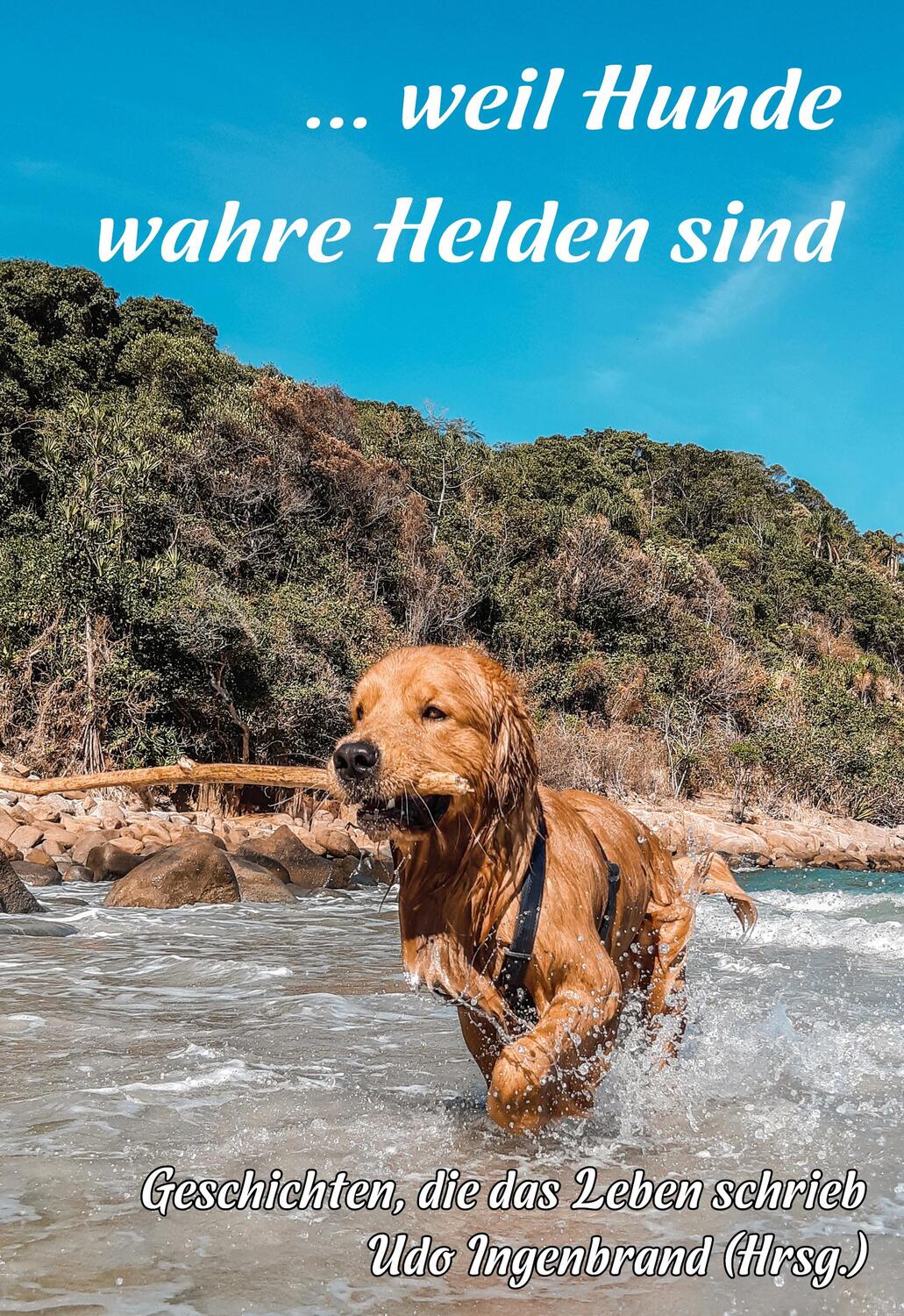 Cover: 9783960744207 | ... weil Hunde wahre Helden sind | Geschichten, die das Leben schrieb