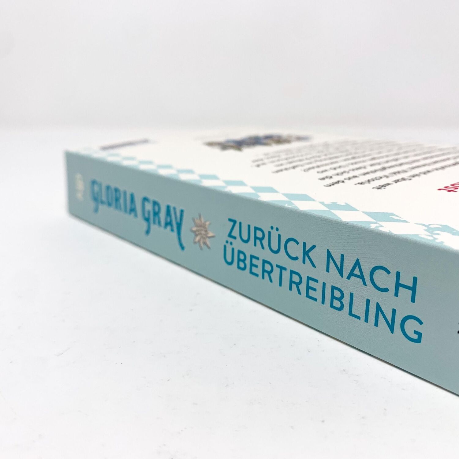 Bild: 9783423220095 | Zurück nach Übertreibling | Vikki Victorias erster Fall - Krimi | Buch