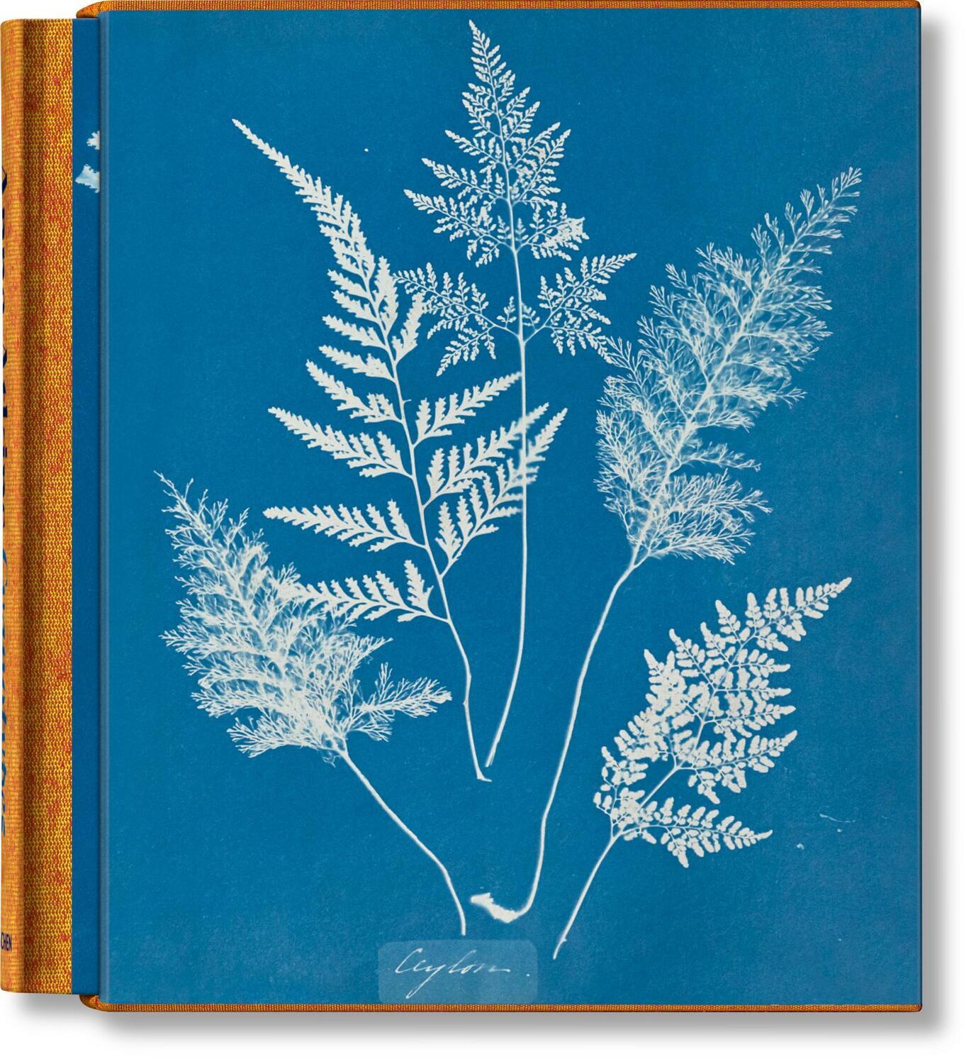 Cover: 9783836596039 | Anna Atkins. Cyanotypes | Peter Walther | Buch | Schuber | 660 S.