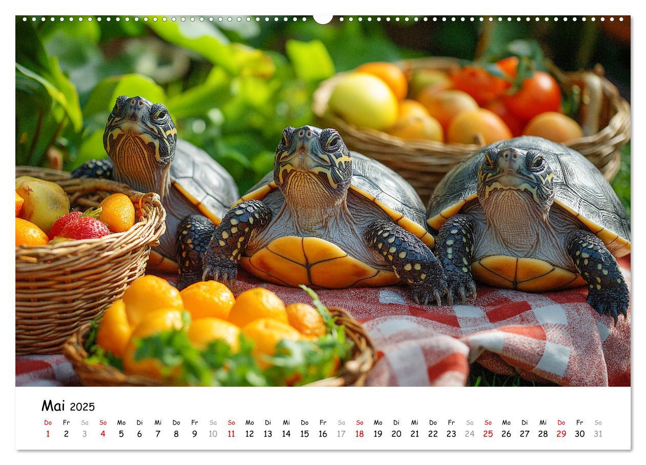 Bild: 9783457215852 | CHILL MAL - Entspannte Schildkröten beim Faulenzen (Wandkalender...