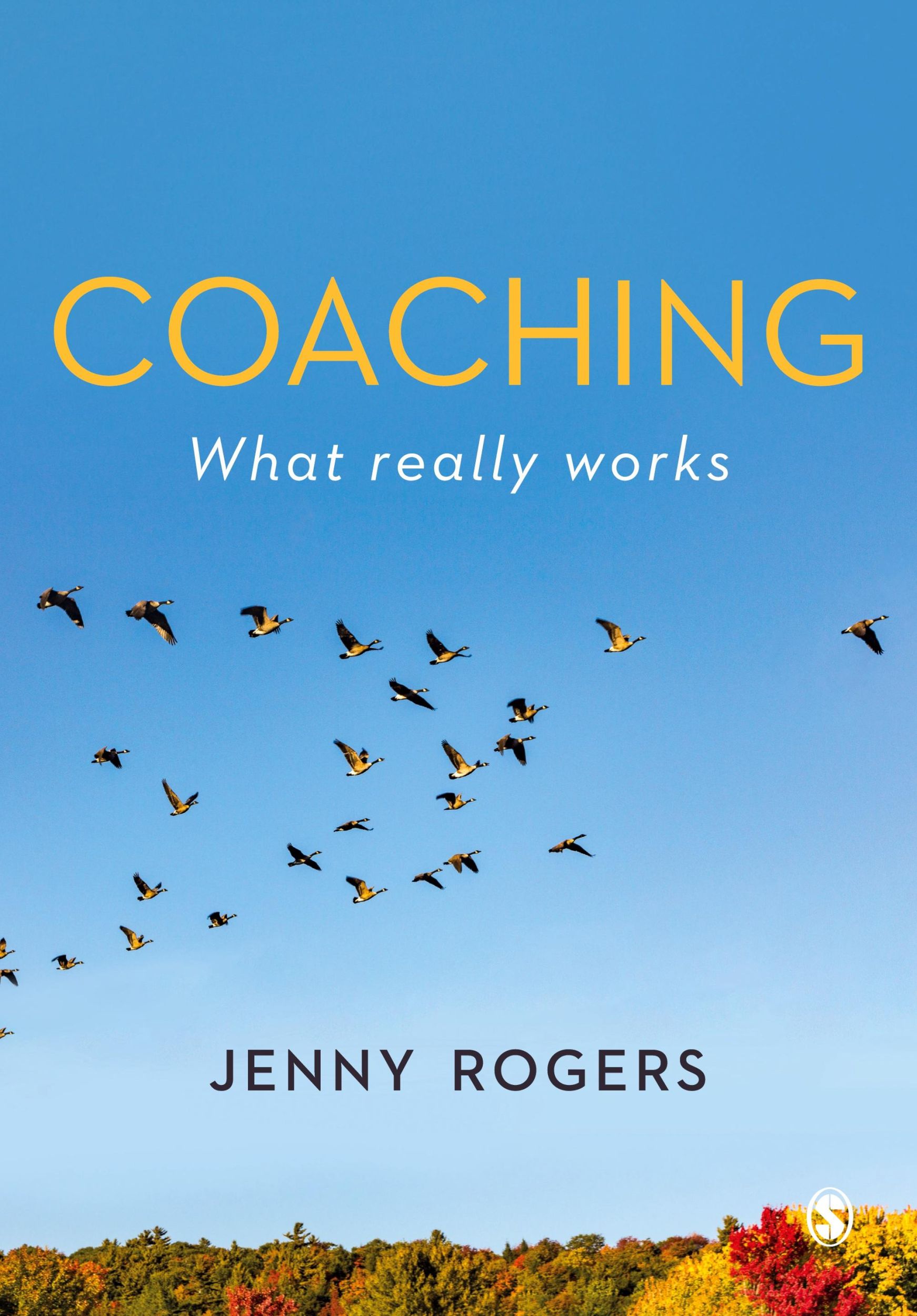 Cover: 9781529744729 | Coaching - What Really Works | Jenny Rogers | Taschenbuch | Englisch