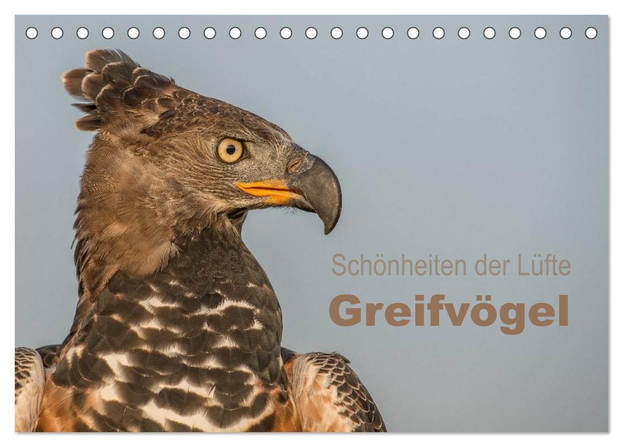 Cover: 9783675634534 | Schönheiten der Lüfte - Greifvögel (Tischkalender 2024 DIN A5...
