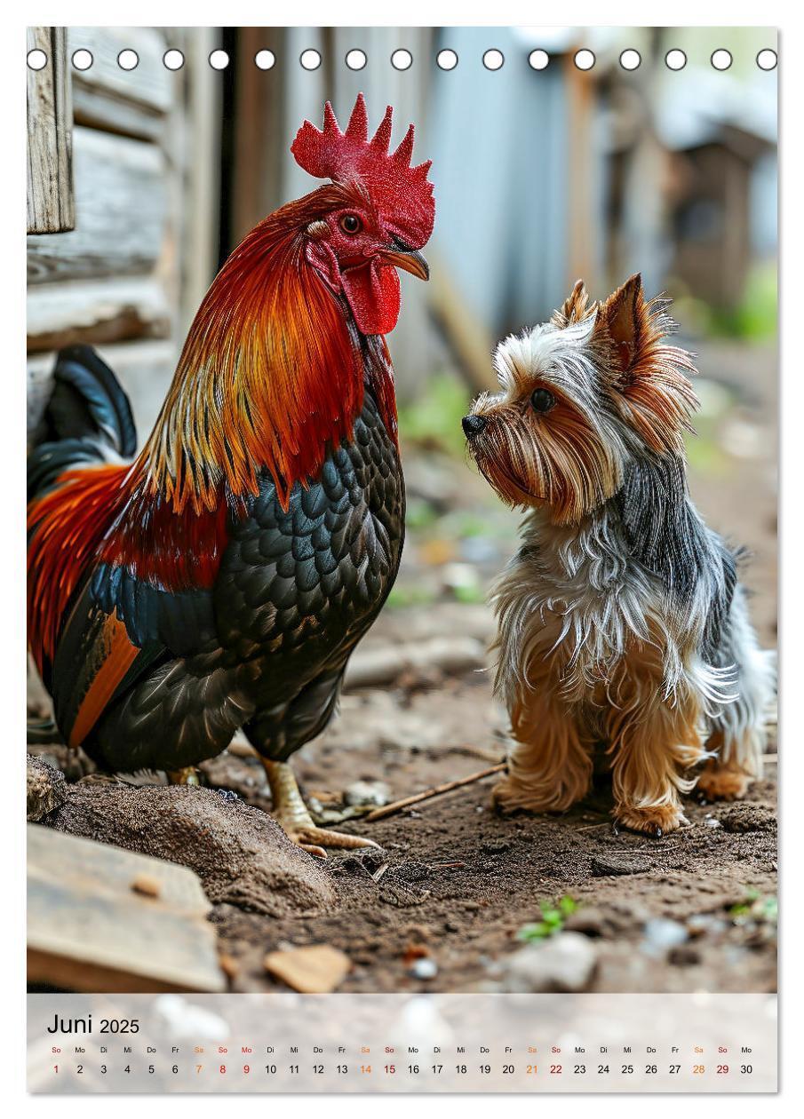 Bild: 9783383771743 | Yorkshire Terrier - ein Hund mit starkem Charakter (Tischkalender...