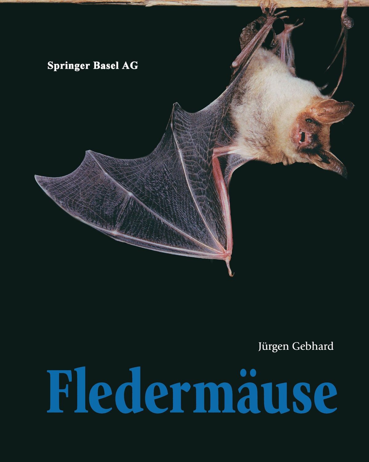 Cover: 9783764357344 | Fledermäuse | Jürgen Gebhard | Taschenbuch | Paperback | 381 S. | 1997