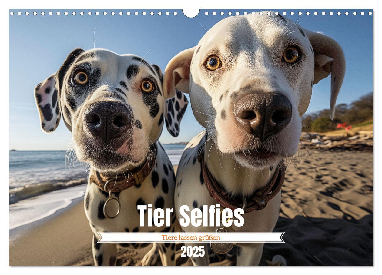 Cover: 9783457179963 | Tier Selfies (Wandkalender 2025 DIN A3 quer), CALVENDO Monatskalender