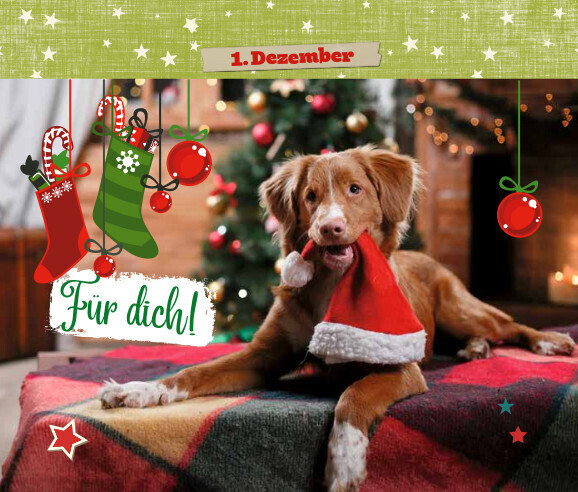 Bild: 9783780613585 | 24 x Tierische Weihnachten | Postkarten-Adventskalender | Lamping