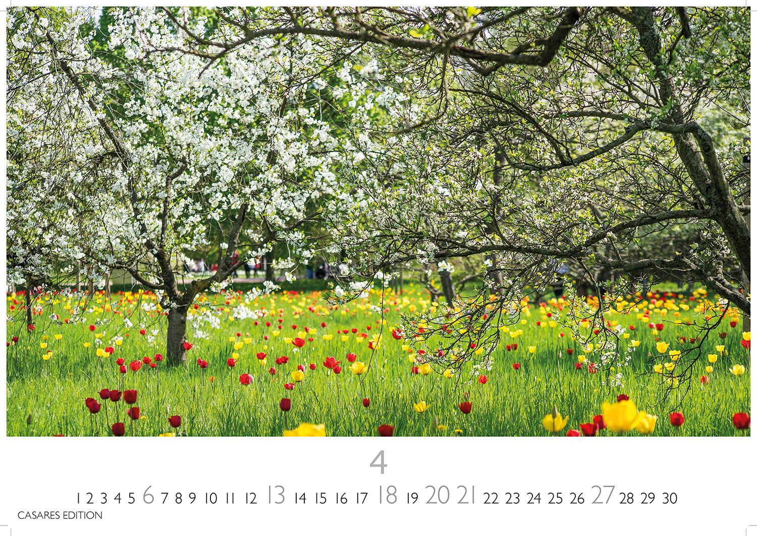 Bild: 9781835242254 | Gartenparadiese 2025 S 24x35cm | Kalender | 14 S. | Deutsch | 2025