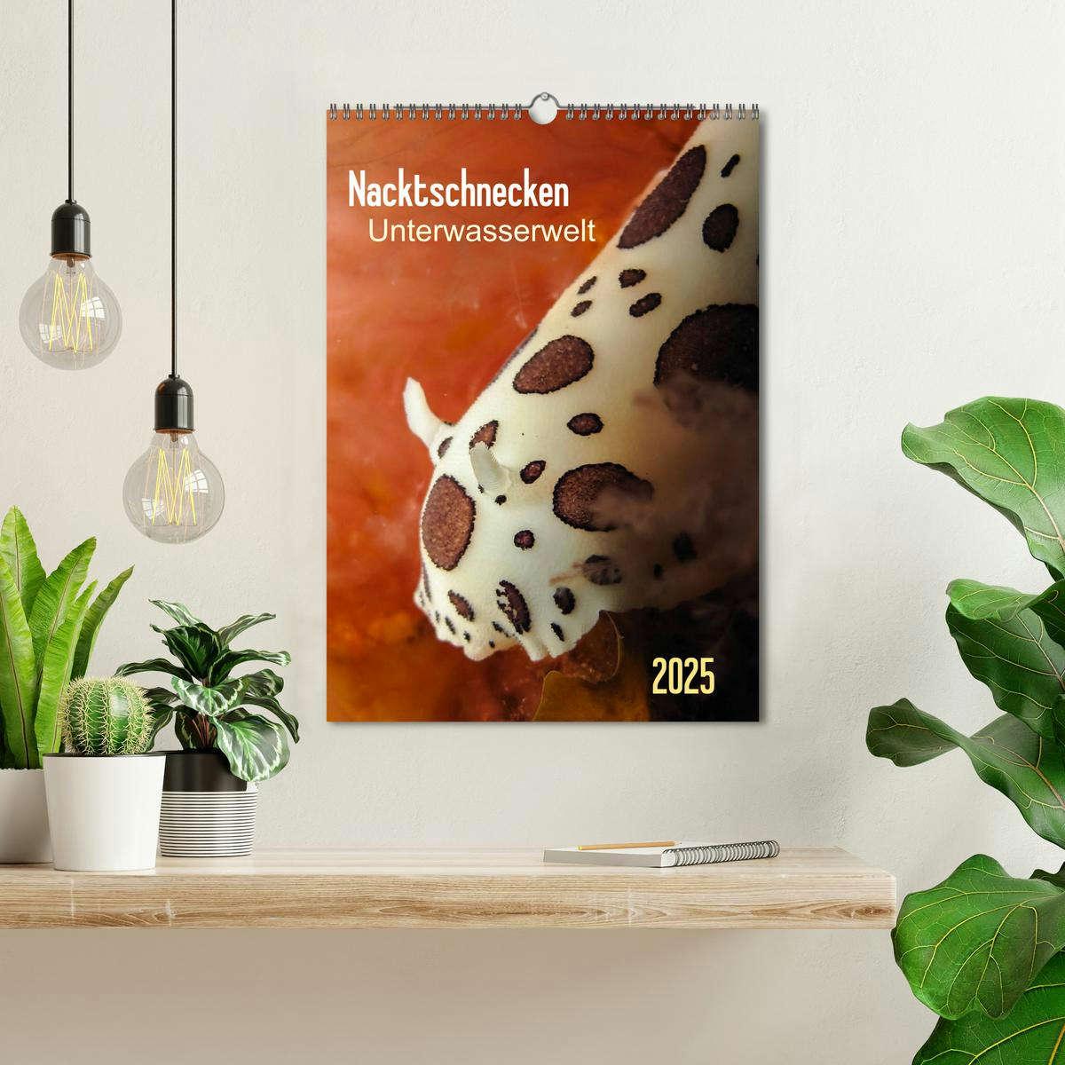 Bild: 9783457035689 | Nacktschnecken - Unterwasserwelt 2025 (Wandkalender 2025 DIN A3...