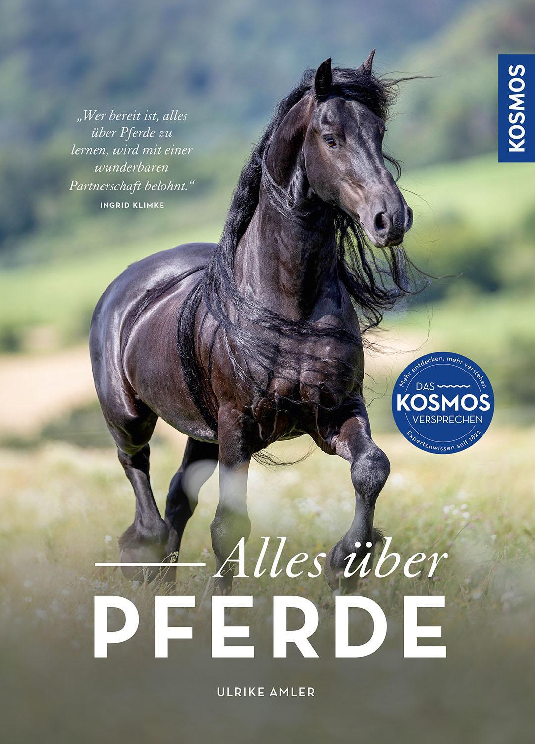 Cover: 9783440181676 | Alles über Pferde | Reiten, Haltung, Rassen | Ulrike Amler | Buch