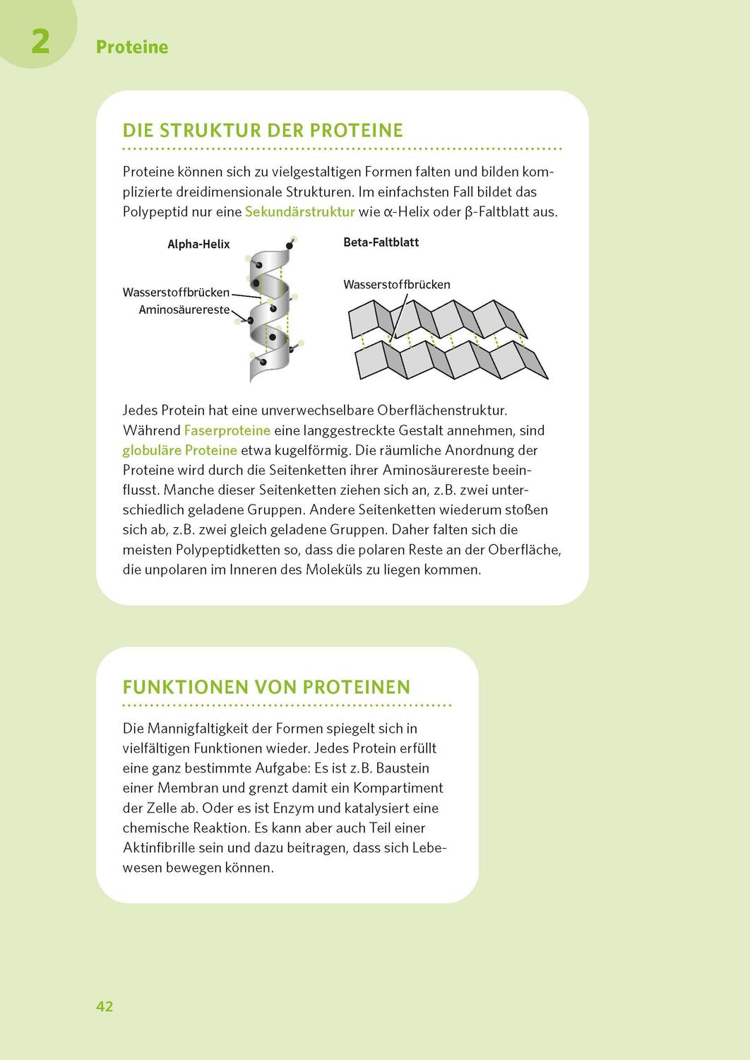 Bild: 9783125625990 | PONS Abi-Check XXL Biologie | Taschenbuch | PONS Abi-Check | 320 S.