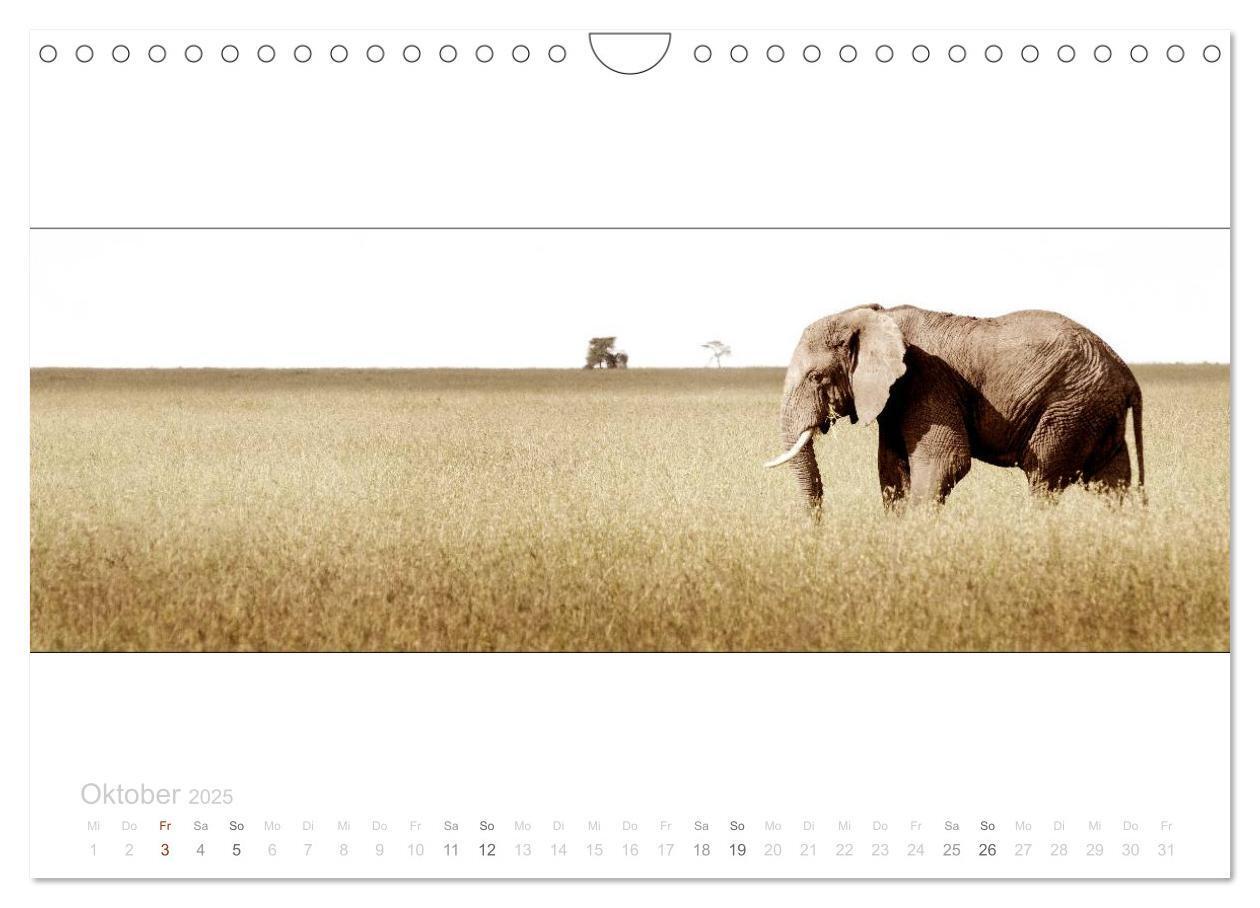 Bild: 9783435687749 | Serengeti Panorama (Wandkalender 2025 DIN A4 quer), CALVENDO...