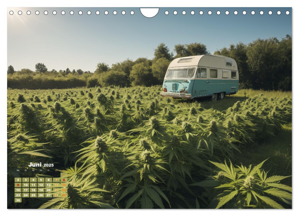 Bild: 9783383807060 | Wunderschöne Cannabisfelder (Wandkalender 2025 DIN A4 quer),...