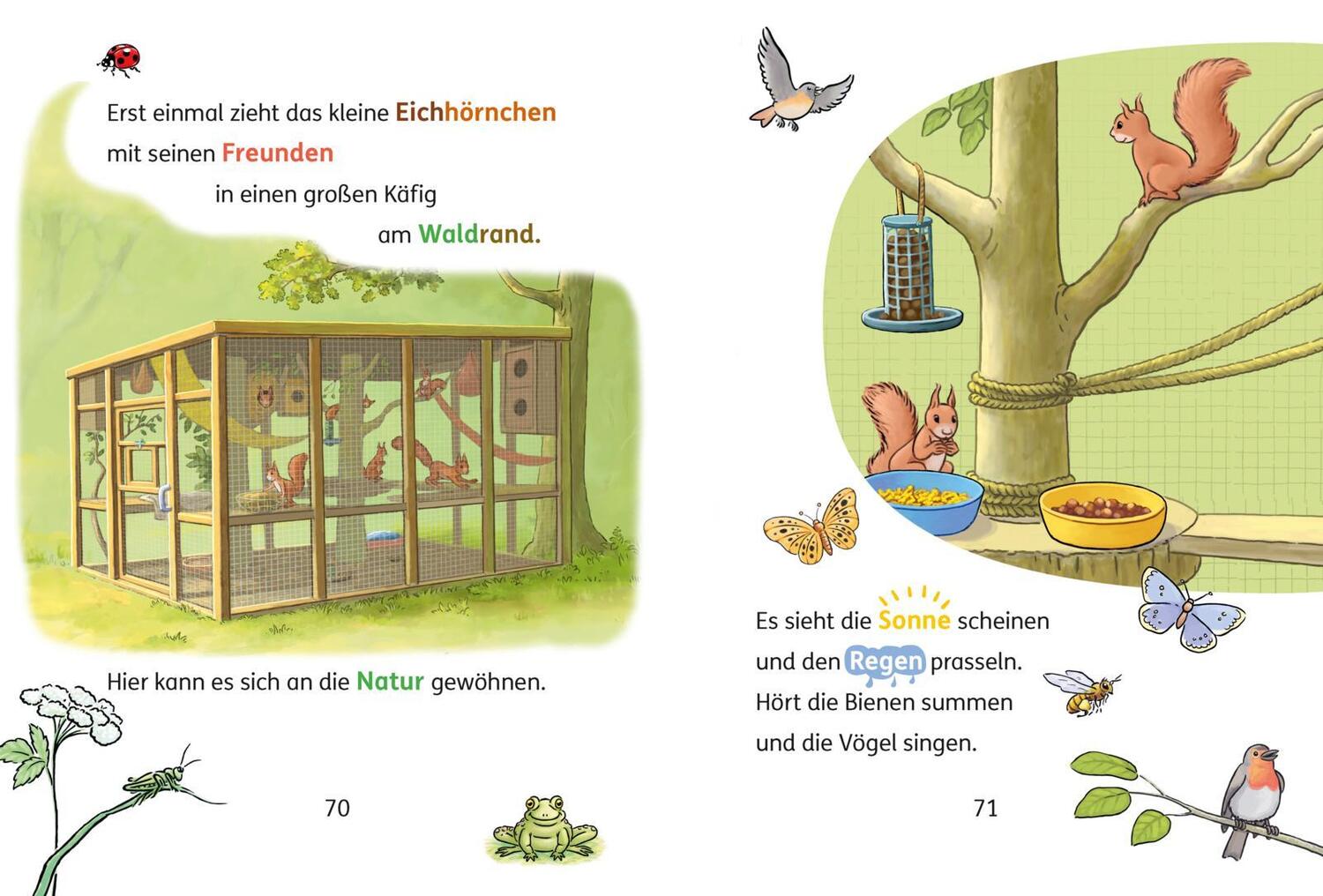 Bild: 9783551189806 | Lesen lernen mit Conni: Conni und das Eichhörnchen | Julia Boehme