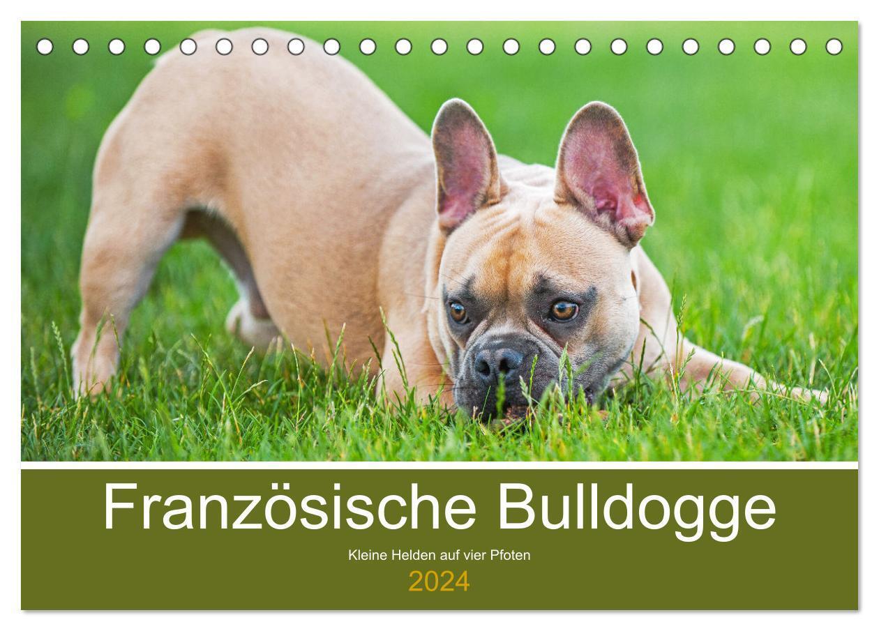 Cover: 9783675548138 | Französische Bulldogge - Kleine Helden auf vier Pfoten...