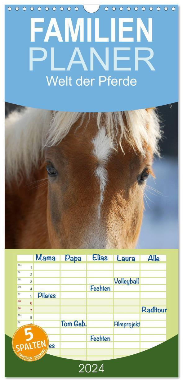 Cover: 9783383089855 | Familienplaner 2024 - Welt der Pferde mit 5 Spalten (Wandkalender,...