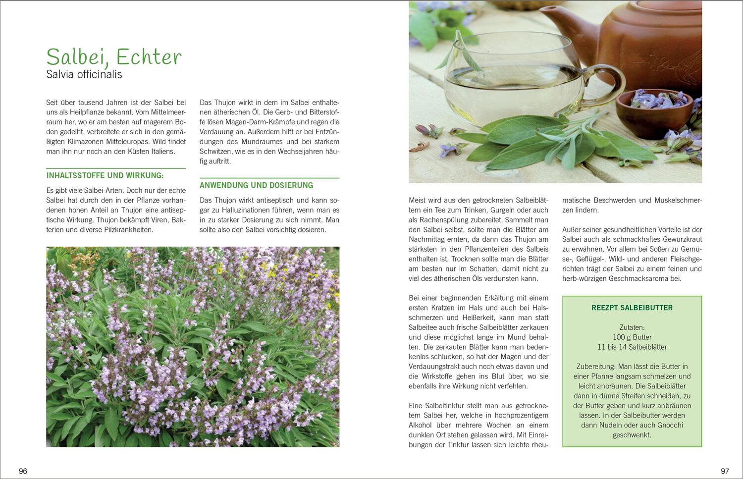 Bild: 9783809439547 | Antibiotische Heilpflanzen | Über 50 Pflanzen und ihre Wirkung | Buch