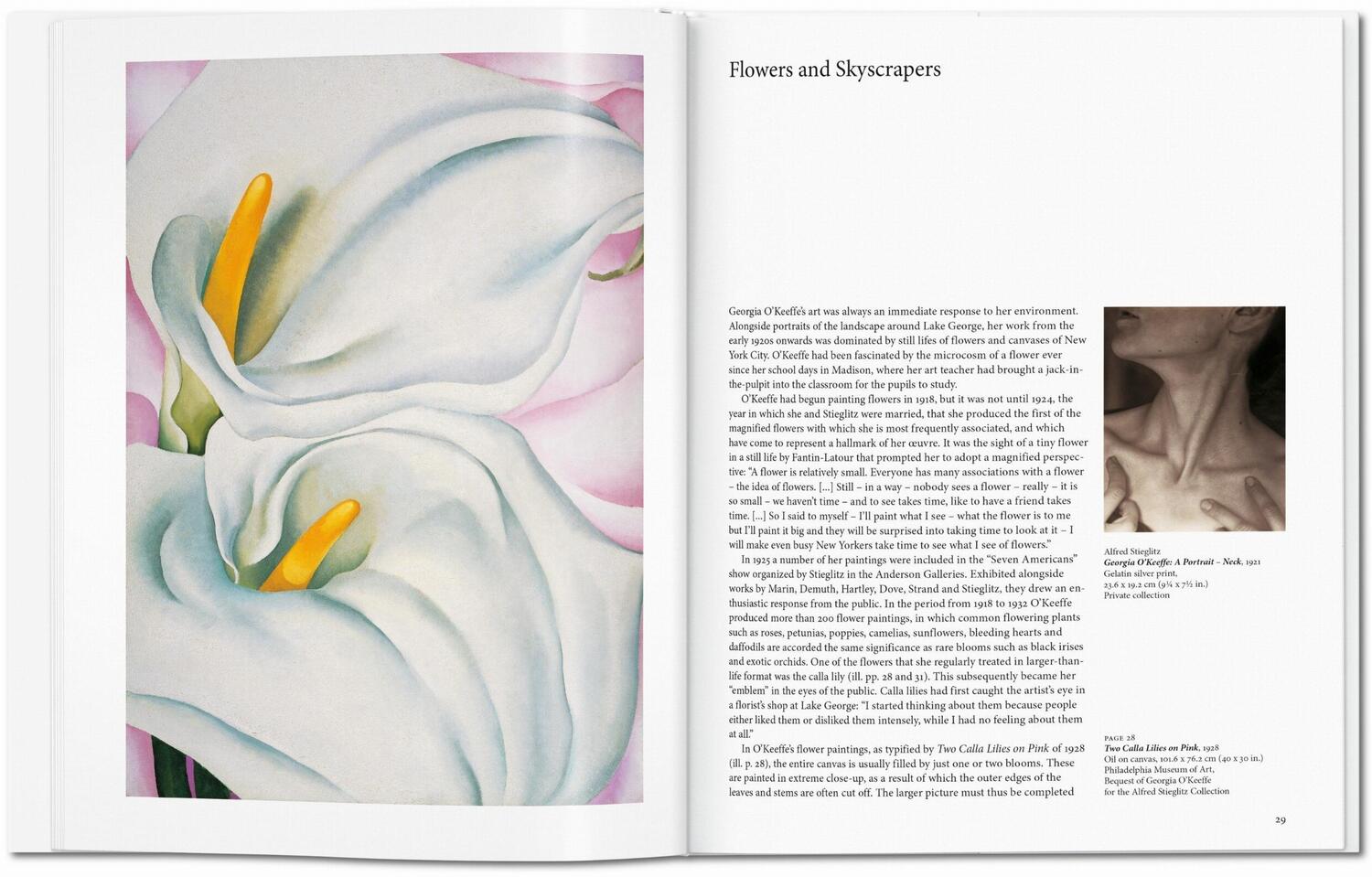 Bild: 9783836532723 | O'Keeffe | Britta Benke | Buch | Basic Art Series | Hardcover | 96 S.