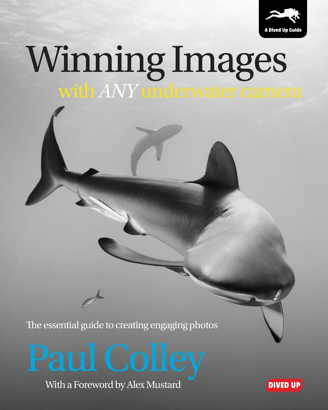 Cover: 9781909455047 | Winning Images with Any Underwater Camera | Paul Colley | Taschenbuch