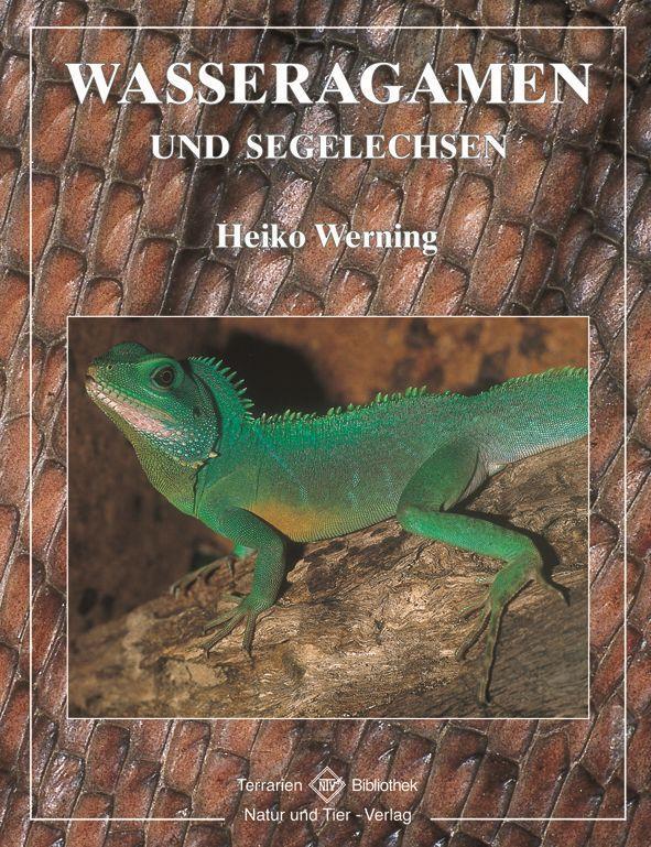 Cover: 9783931587581 | Wasseragamen und Segelechsen | Heiko Werning | Taschenbuch | 128 S.