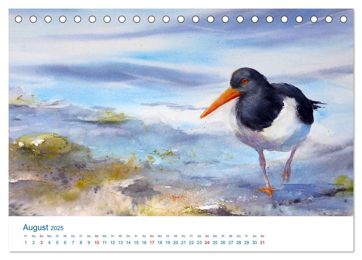 Bild: 9783457146804 | Föhr - Aquarelle (Tischkalender 2025 DIN A5 quer), CALVENDO...