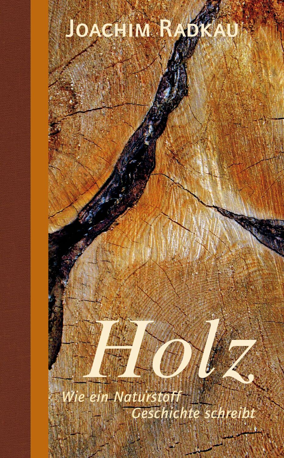 Cover: 9783962380687 | Holz | Wie ein Naturstoff Geschichte schreibt | Joachim Radkau | Buch