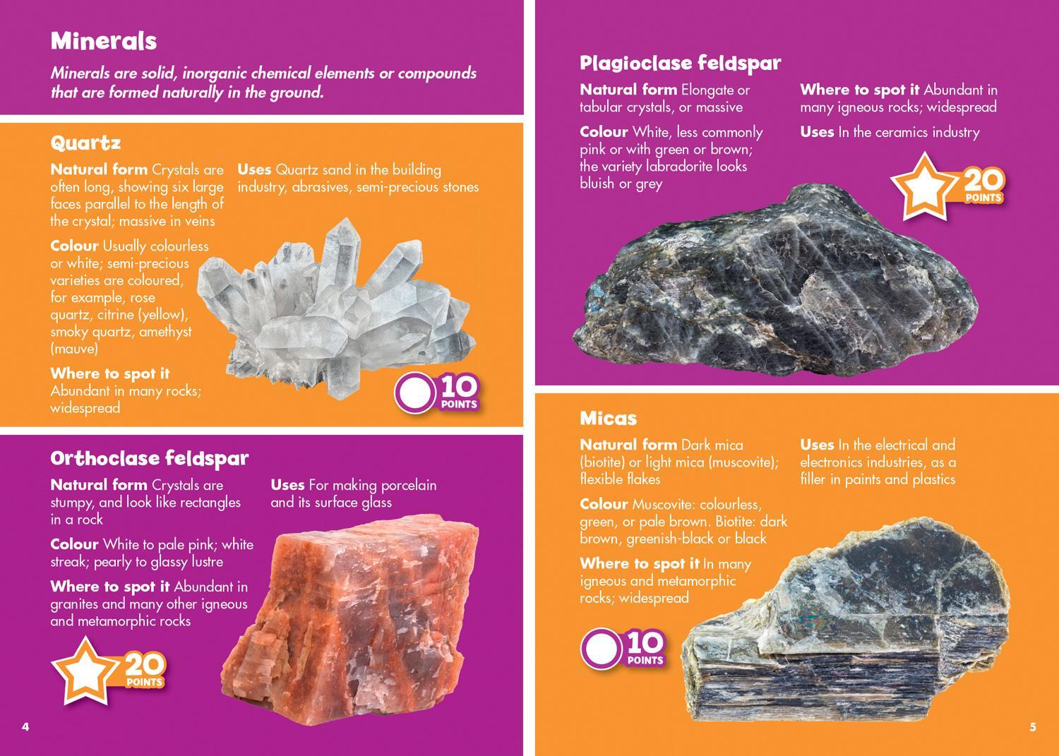 Bild: 9780008562687 | i-SPY Fossils and Rocks | Spy it! Score it! | I-Spy | Taschenbuch