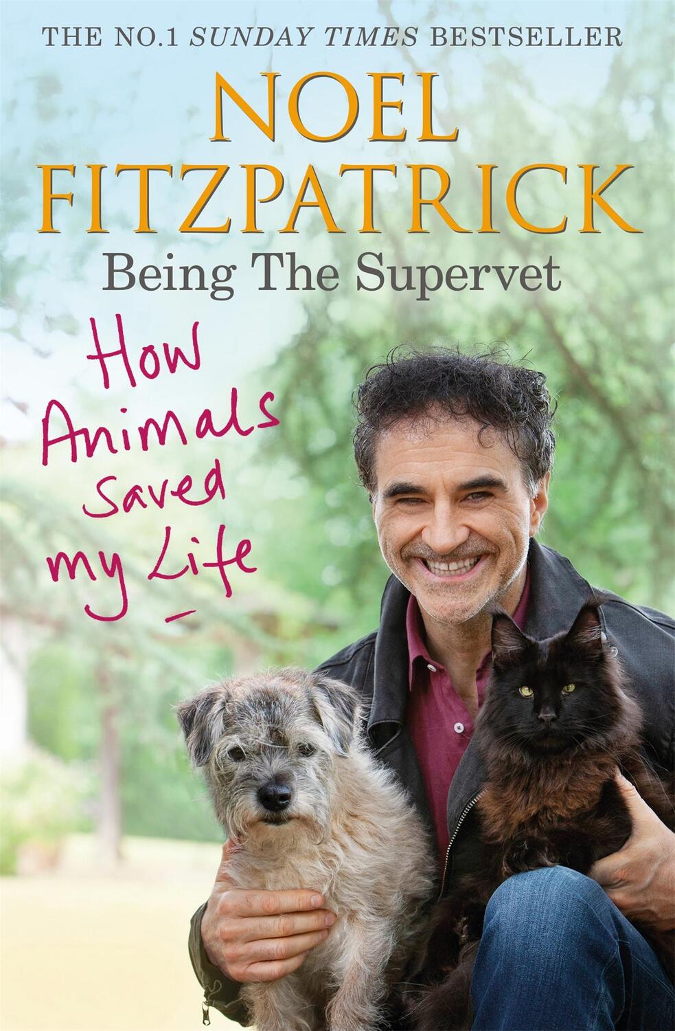 Cover: 9781409183815 | How Animals Saved My Life: Being the Supervet | Noel Fitzpatrick