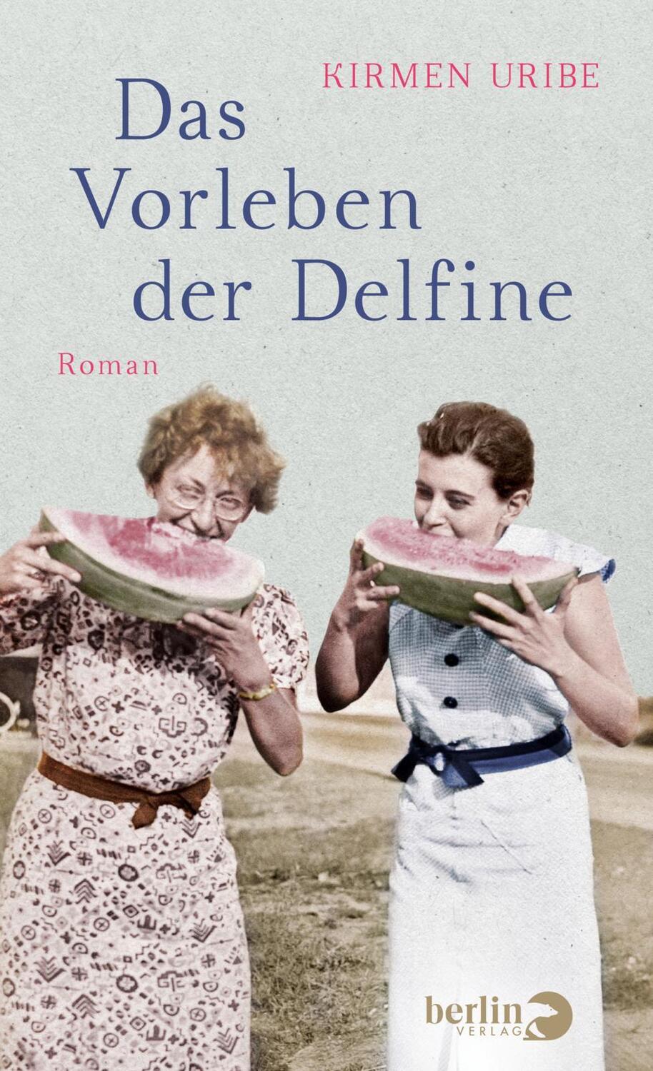 Cover: 9783827014801 | Das Vorleben der Delfine | Kirmen Uribe | Buch | 400 S. | Deutsch