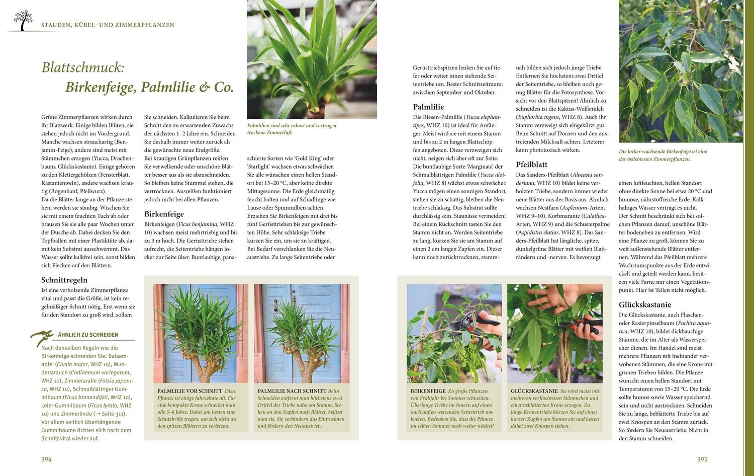 Bild: 9783833889639 | Das große GU Praxishandbuch Pflanzenschnitt | Hansjörg Haas | Buch