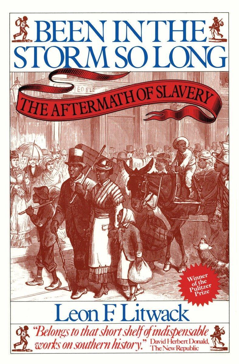 Cover: 9780394743981 | Been in the Storm So Long: The Aftermath of Slavery | Leon F. Litwack