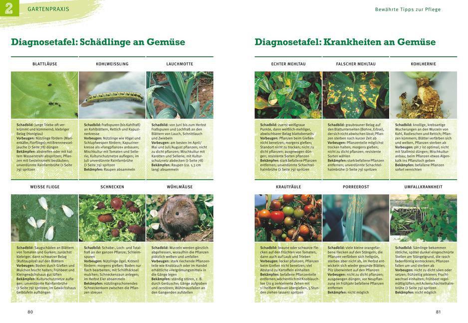 Bild: 9783833850677 | Obst &amp; Gemüse selbst anbauen | Renate Hudak | Taschenbuch | Deutsch