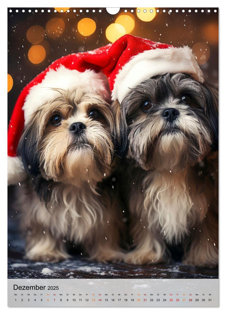 Bild: 9783383765384 | Shih Tzu - immer im Mittelpunkt (Wandkalender 2025 DIN A3 hoch),...