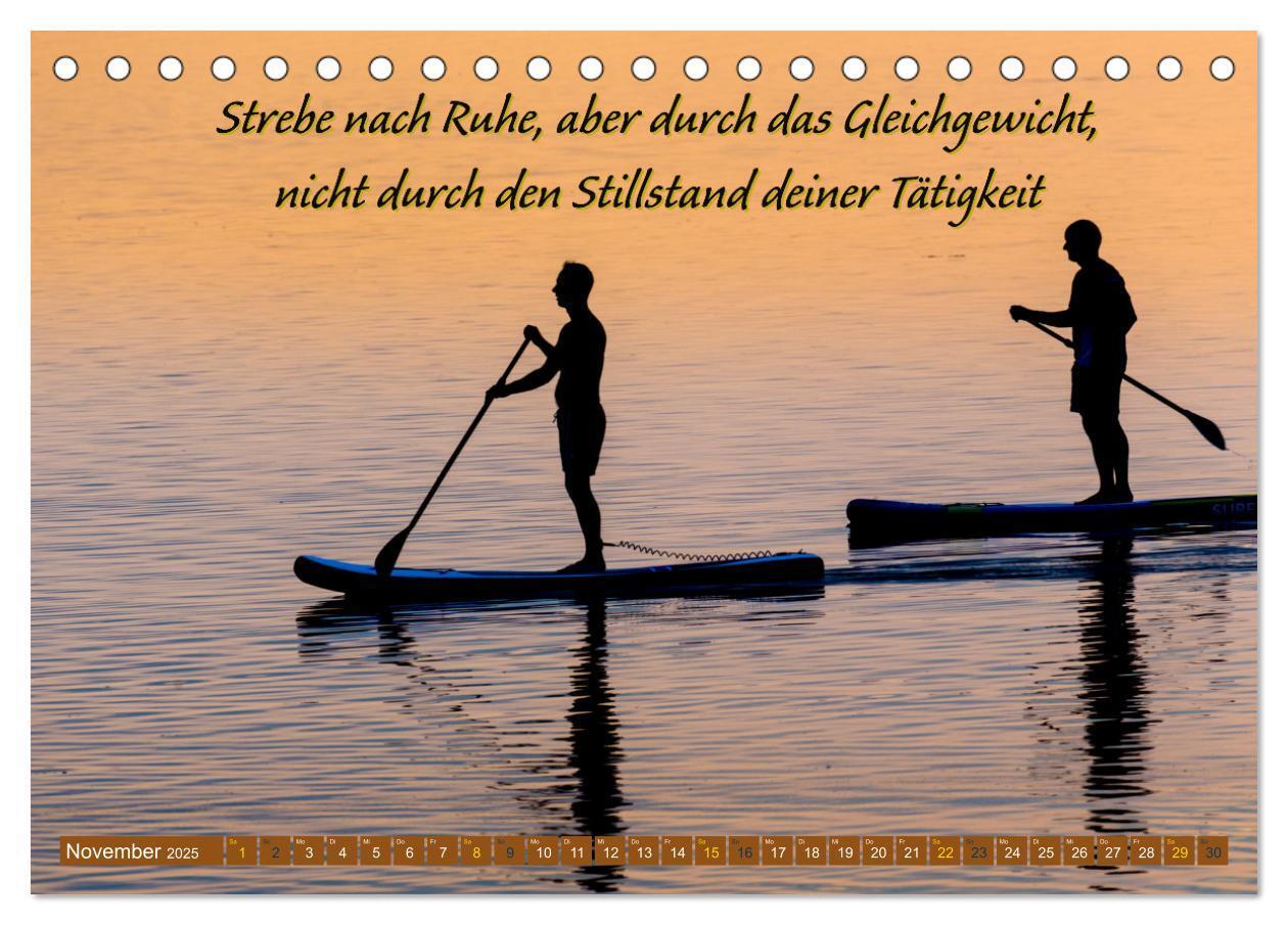 Bild: 9783383906541 | Schwimmen und SUP Begleitet mit coolen Sprüchen (Tischkalender 2025...