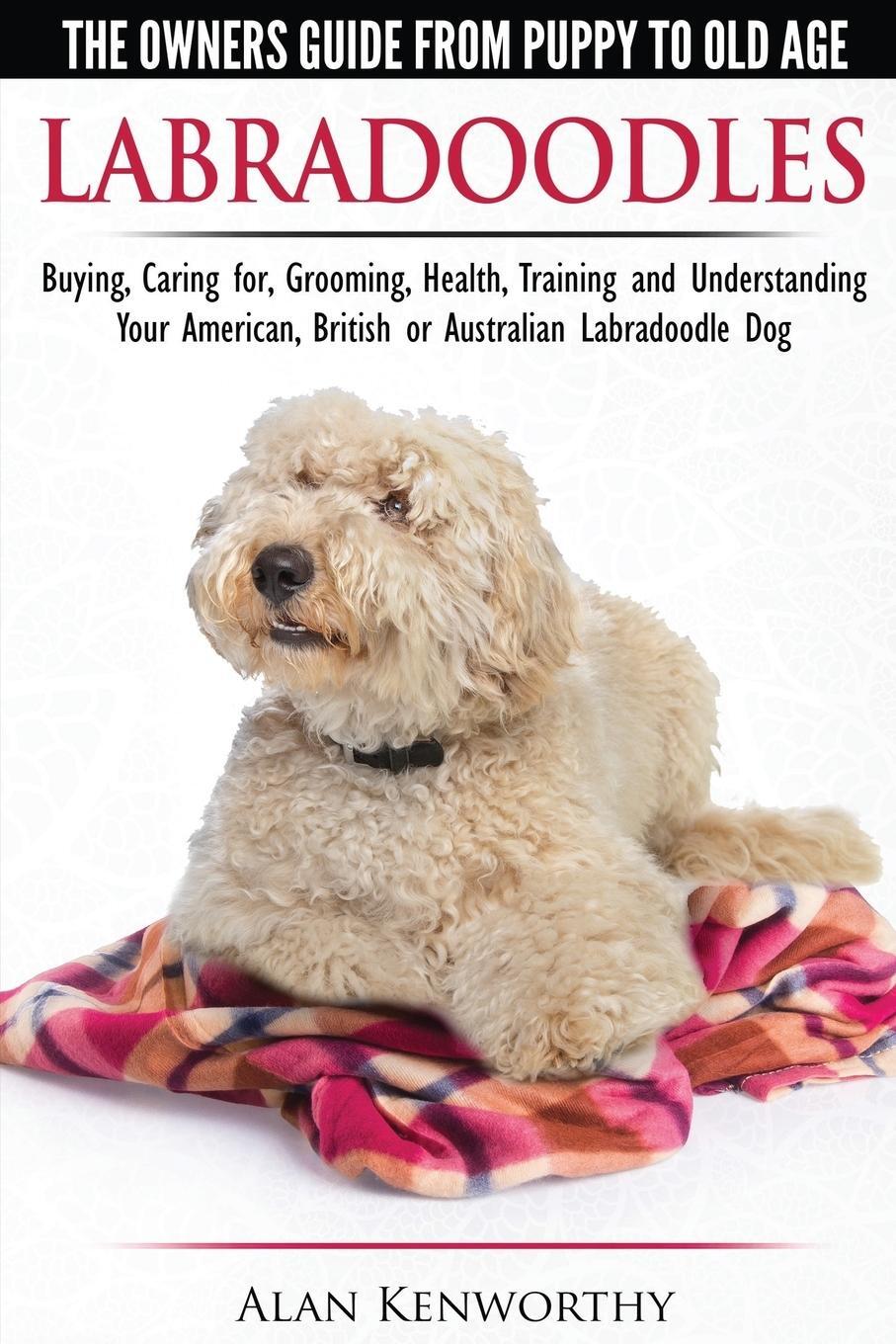 Cover: 9781910677070 | Labradoodles - The Owners Guide from Puppy to Old Age for Your...