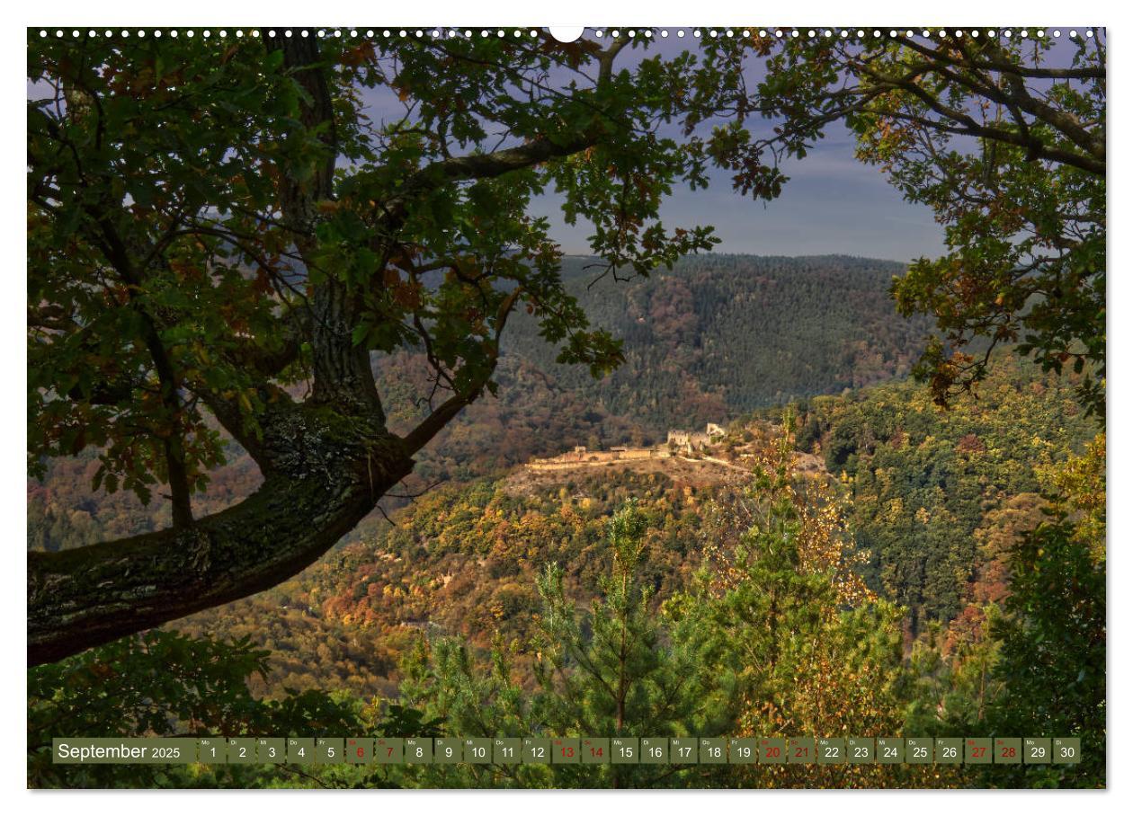 Bild: 9783435148899 | Augenschmaus Pfälzer Wald (Wandkalender 2025 DIN A2 quer), CALVENDO...