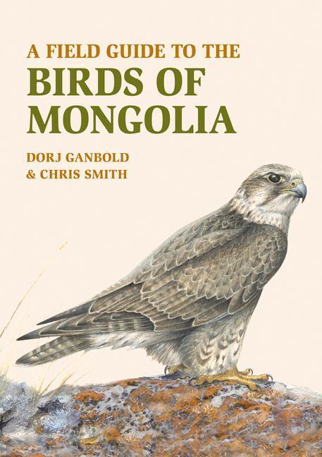 Cover: 9781912081042 | A Field Guide to the Birds of Mongolia | Chris Smith | Taschenbuch