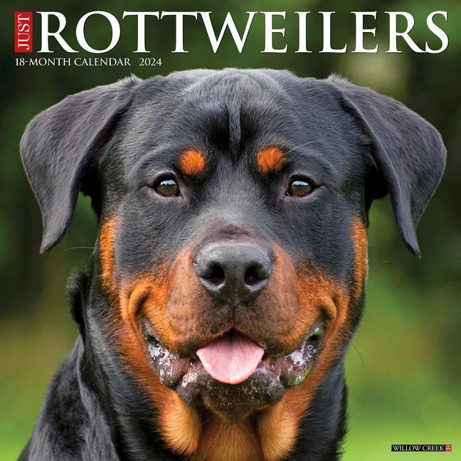 Cover: 9781549235160 | Just Rottweilers 2024 12 X 12 Wall Calendar | Willow Creek Press