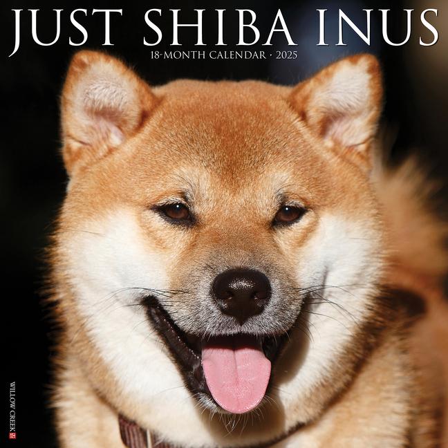 Cover: 9781549244858 | Just Shiba Inus 2025 12 X 12 Wall Calendar | Willow Creek Press | 2025