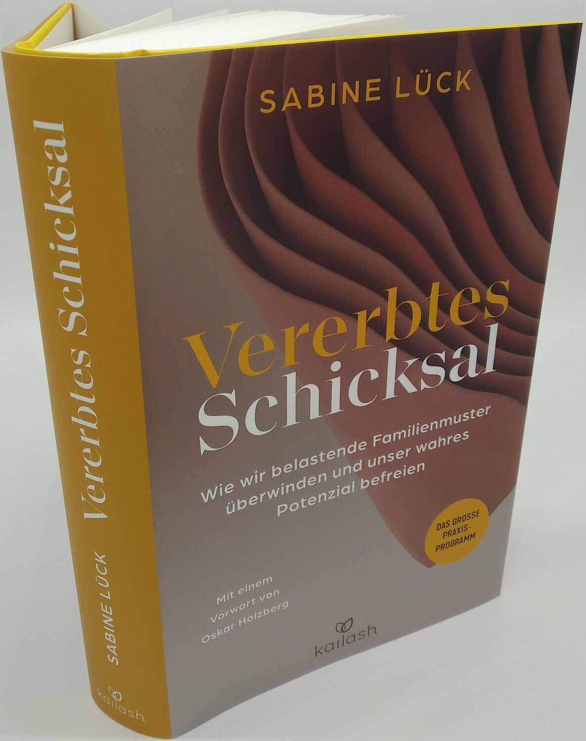 Bild: 9783424632460 | Vererbtes Schicksal | Sabine Lück | Buch | 368 S. | Deutsch | 2023